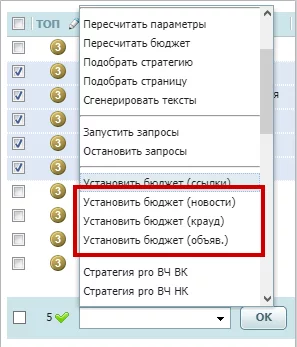 массового действия_бюджет