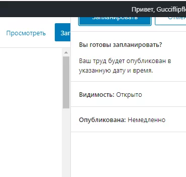 Опубликовать страницу на сайте WordPress Запланировать публикацию страницы WordPress