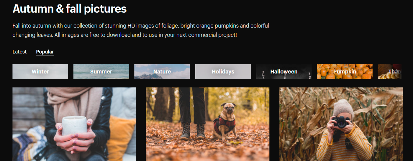 Burst by Shopify Burst by Shopify